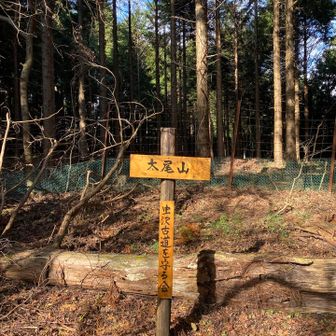 ここは前に来たピーク