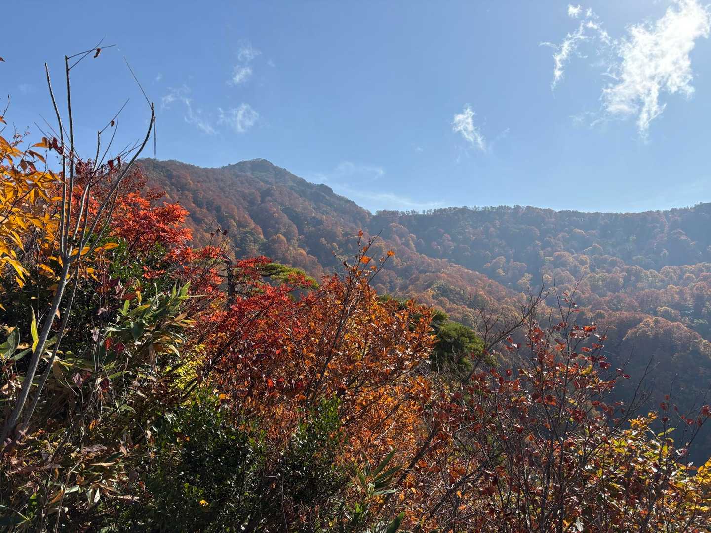 金城山（観音山登山口）の写真
