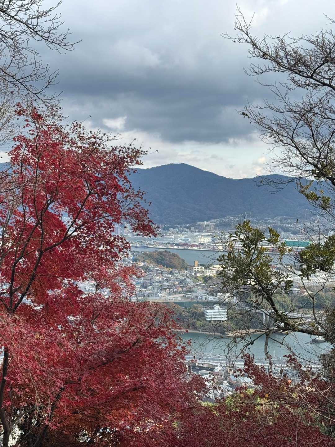 海見えてきた𓇼𓆡𓆉 ⋆
