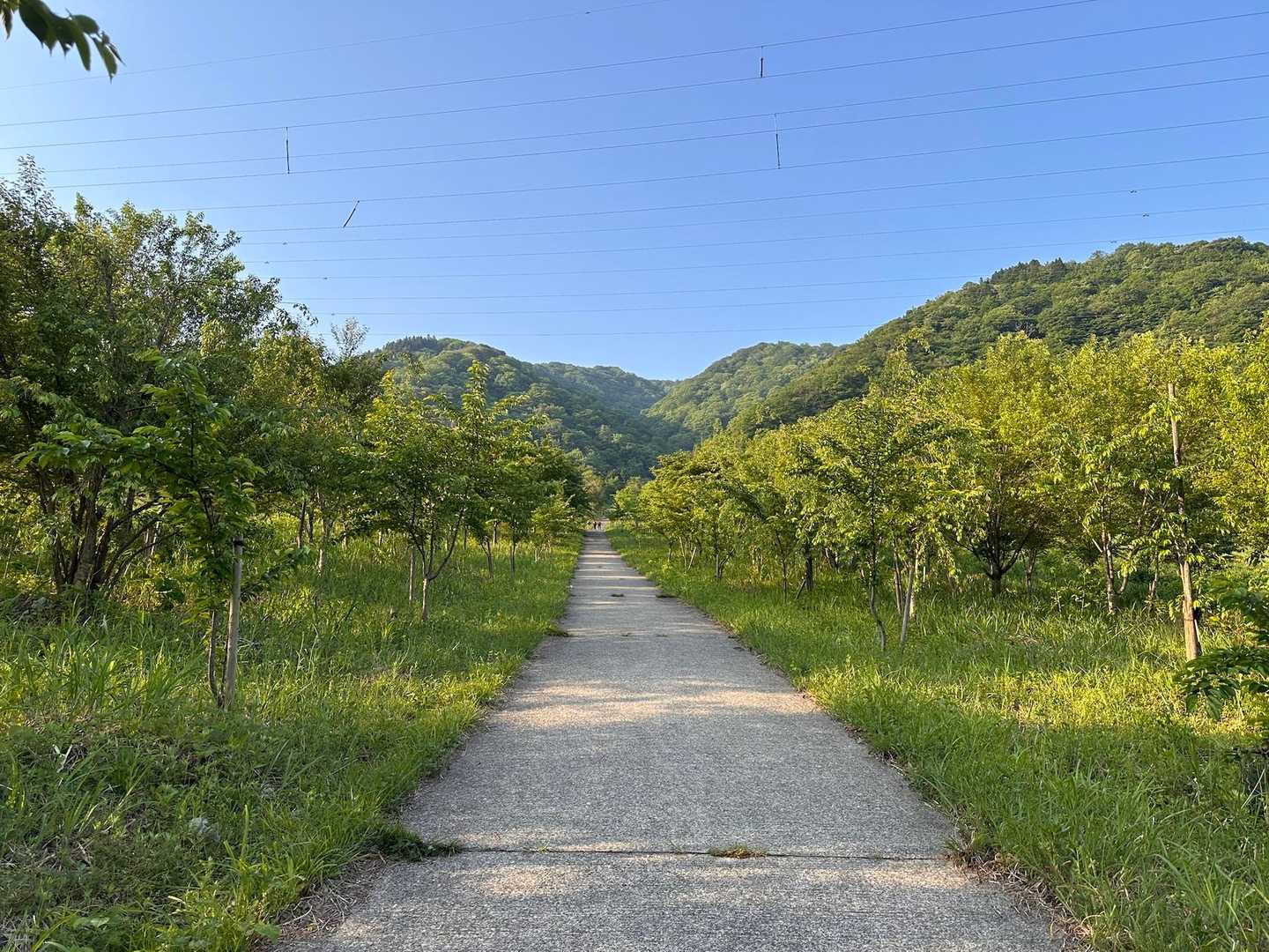 まずはこの長い舗装路を歩きます。
なかなかの傾斜です。