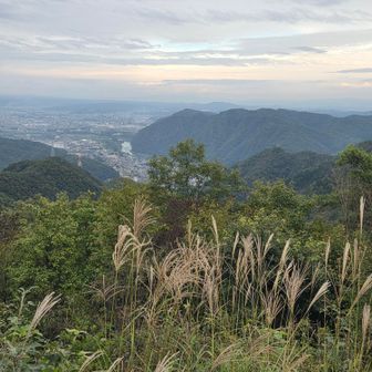 鳩吹山🕊️