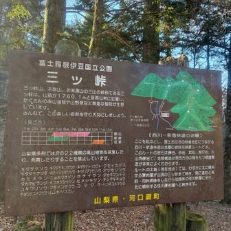 人も多く、結構メジャーなルートみたいです