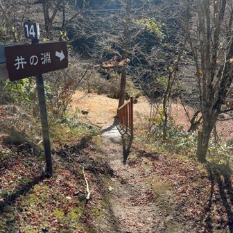 井の淵に立った時