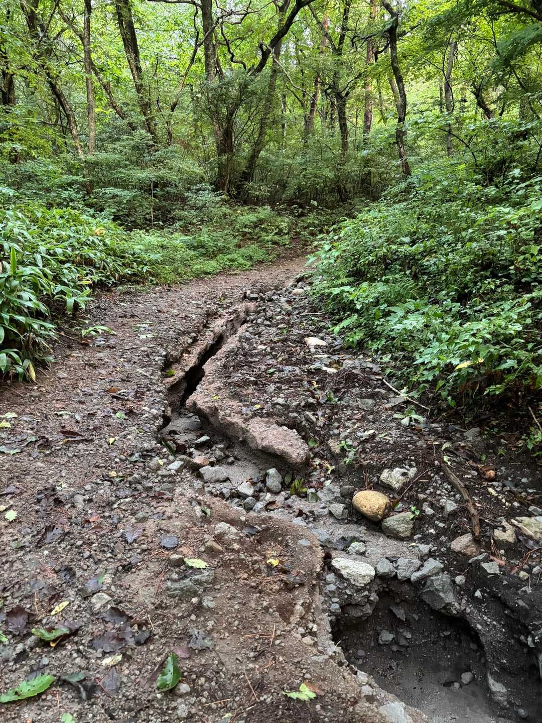 こんな箇所沢山💦😳