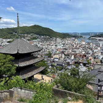 尾道といえばの風景だ