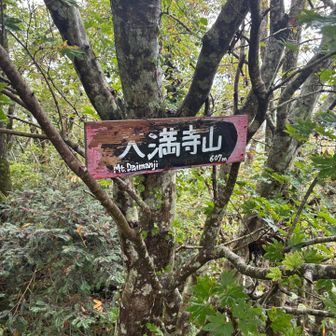 山頂🙌