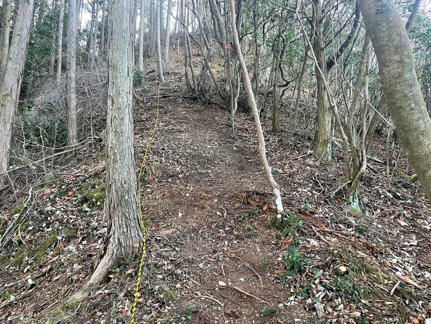迷うことなく進めますよ😄
ほんとに歩きやすいですね✨
