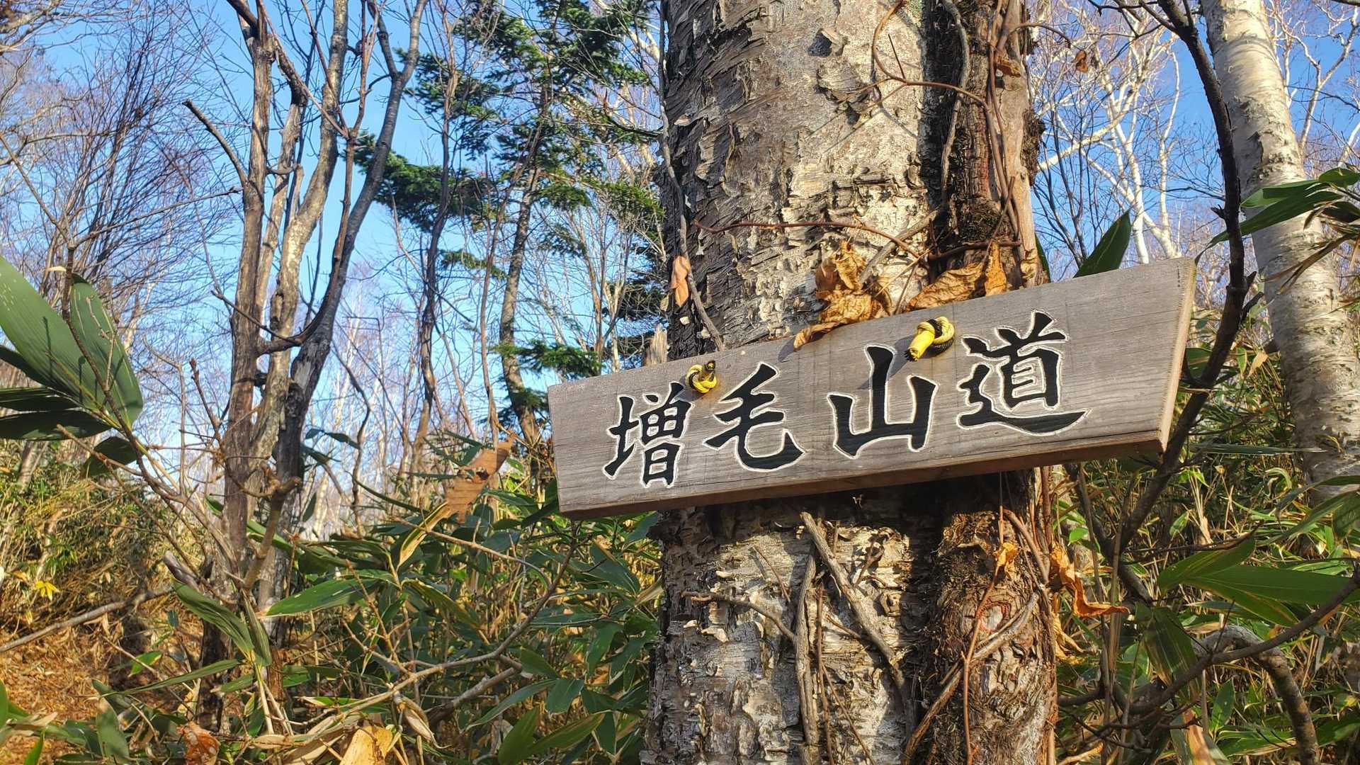 なんだか、久々にワクワクする。
さて、よろしくお願いします！