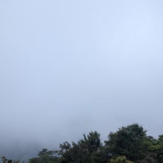ホワイトアウト！