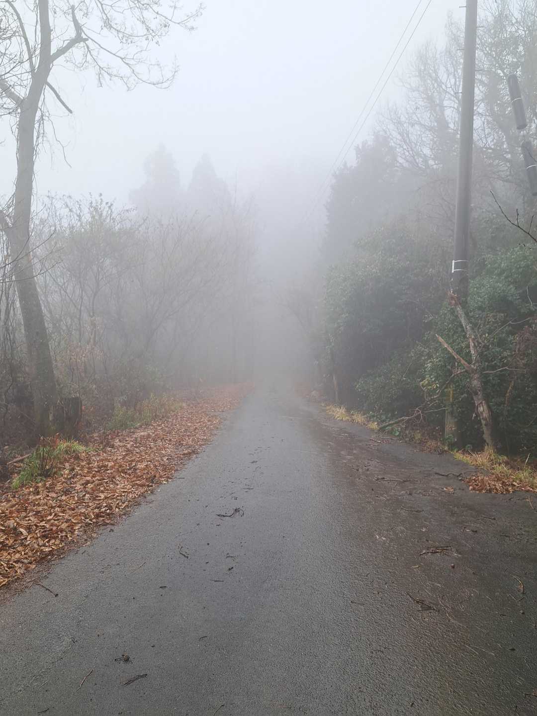 霧が濃くなってきた💦