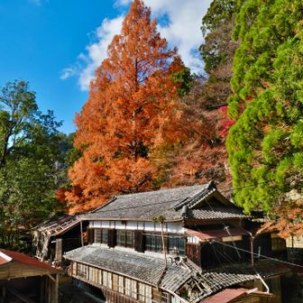 ここもお気に入り。