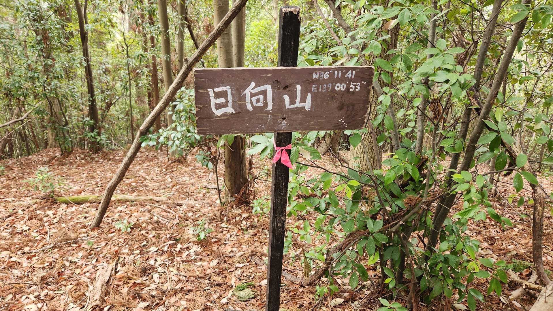 日向山に登頂。
