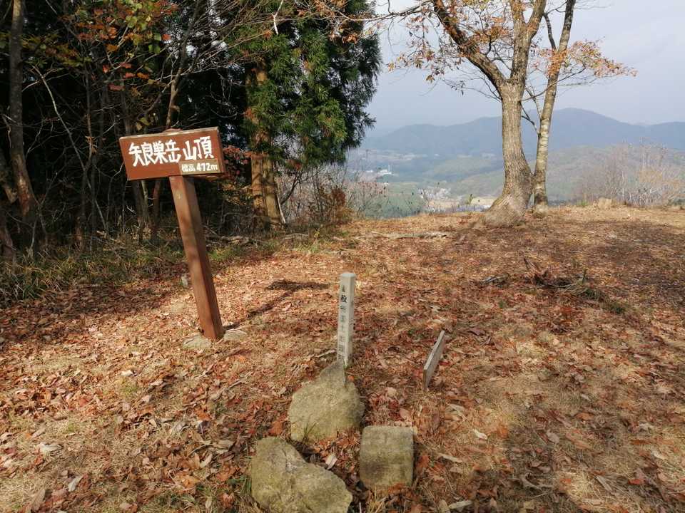 昔は草むらだったのに