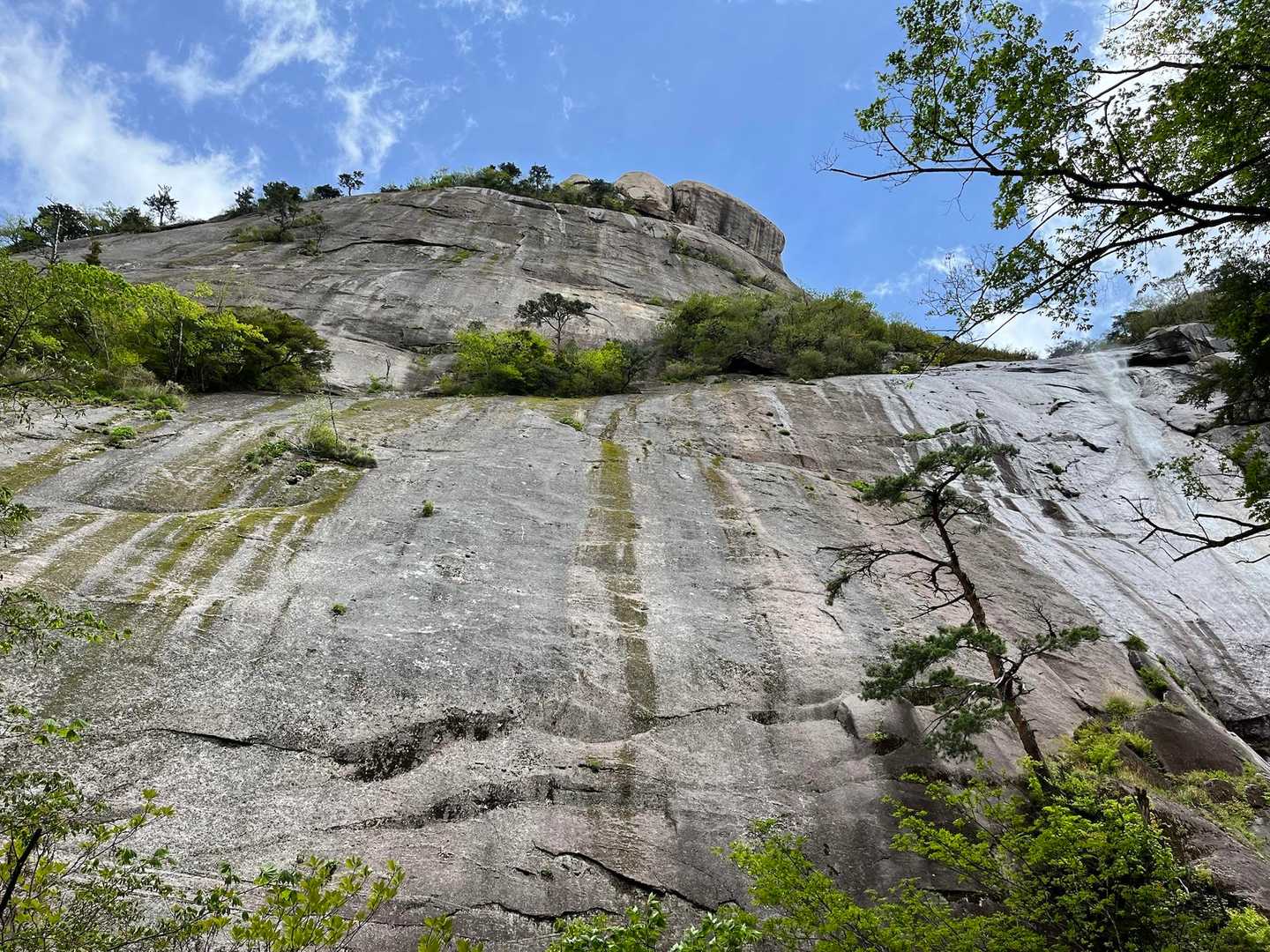 鬼の目山登山口-鬼の目山-鉾岳 往復コースの写真