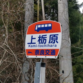 上栃原バス亭でゴール…ではない
下市口駅まで歩きます
ちなみに16:26分が唯一の便😳