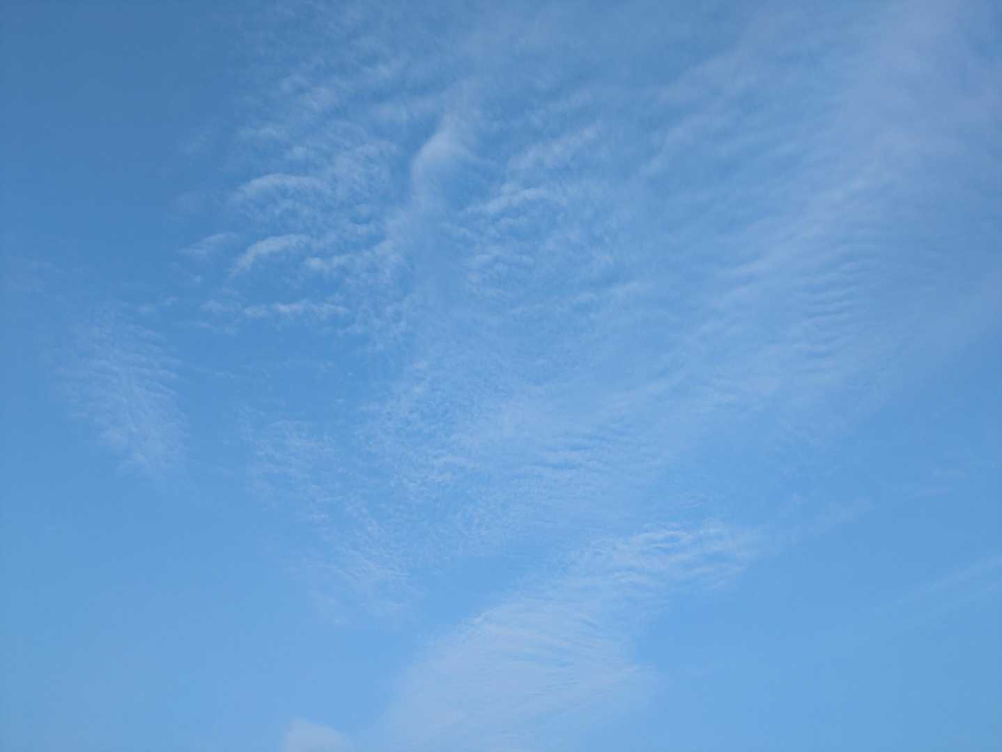 お、面白い雲
