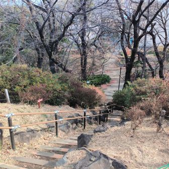 箱根山上部から見下ろす
尾張藩も陸軍も今は無き