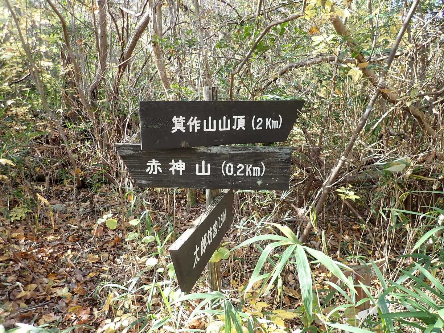 看板も新しめ。