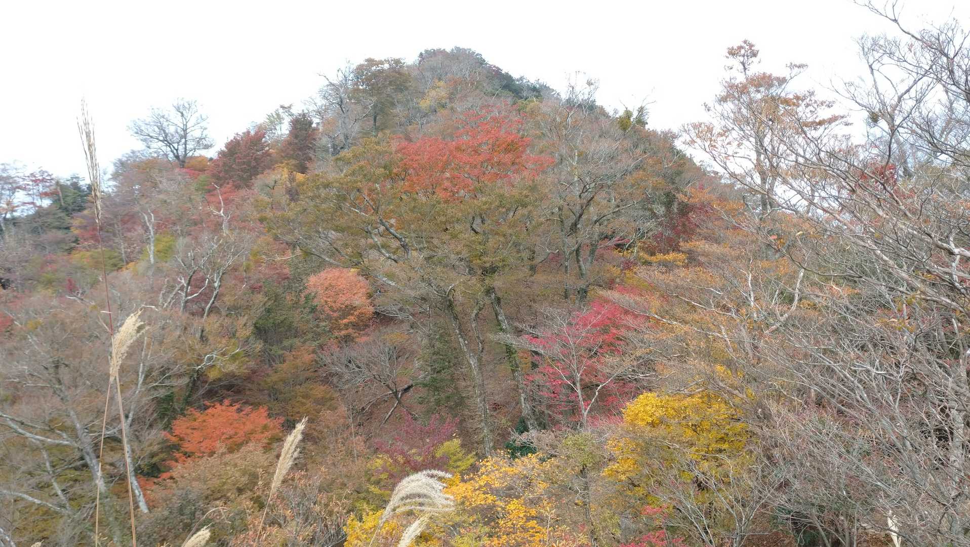 深倉越-岳滅鬼山-岳滅鬼岳-岳滅鬼峠 周回コースの写真
