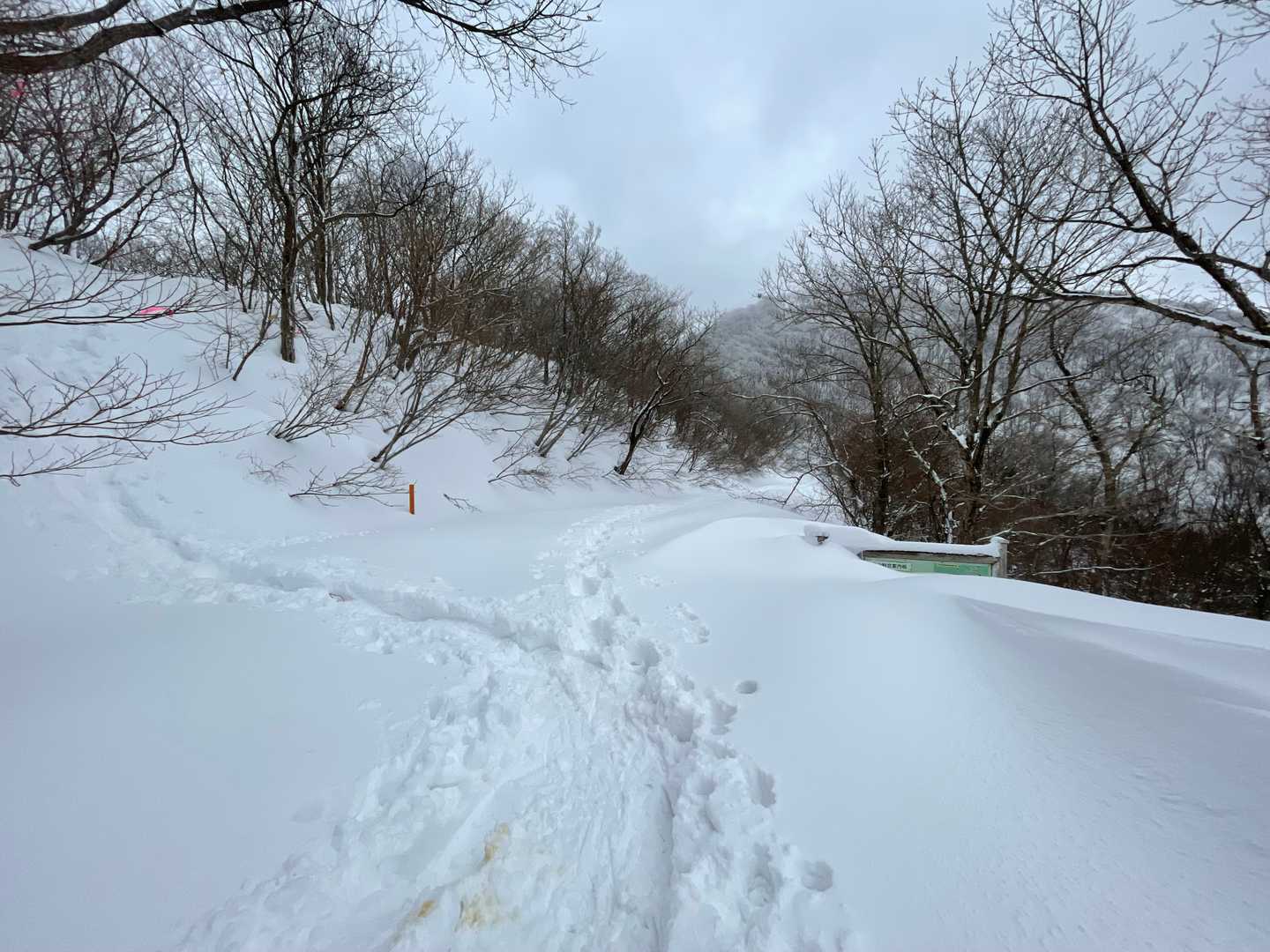 ここで、白兀へ行くためピンクテープもあったので左に登り・・・
すぐにトレースが無くなって・・・引き返すことに。