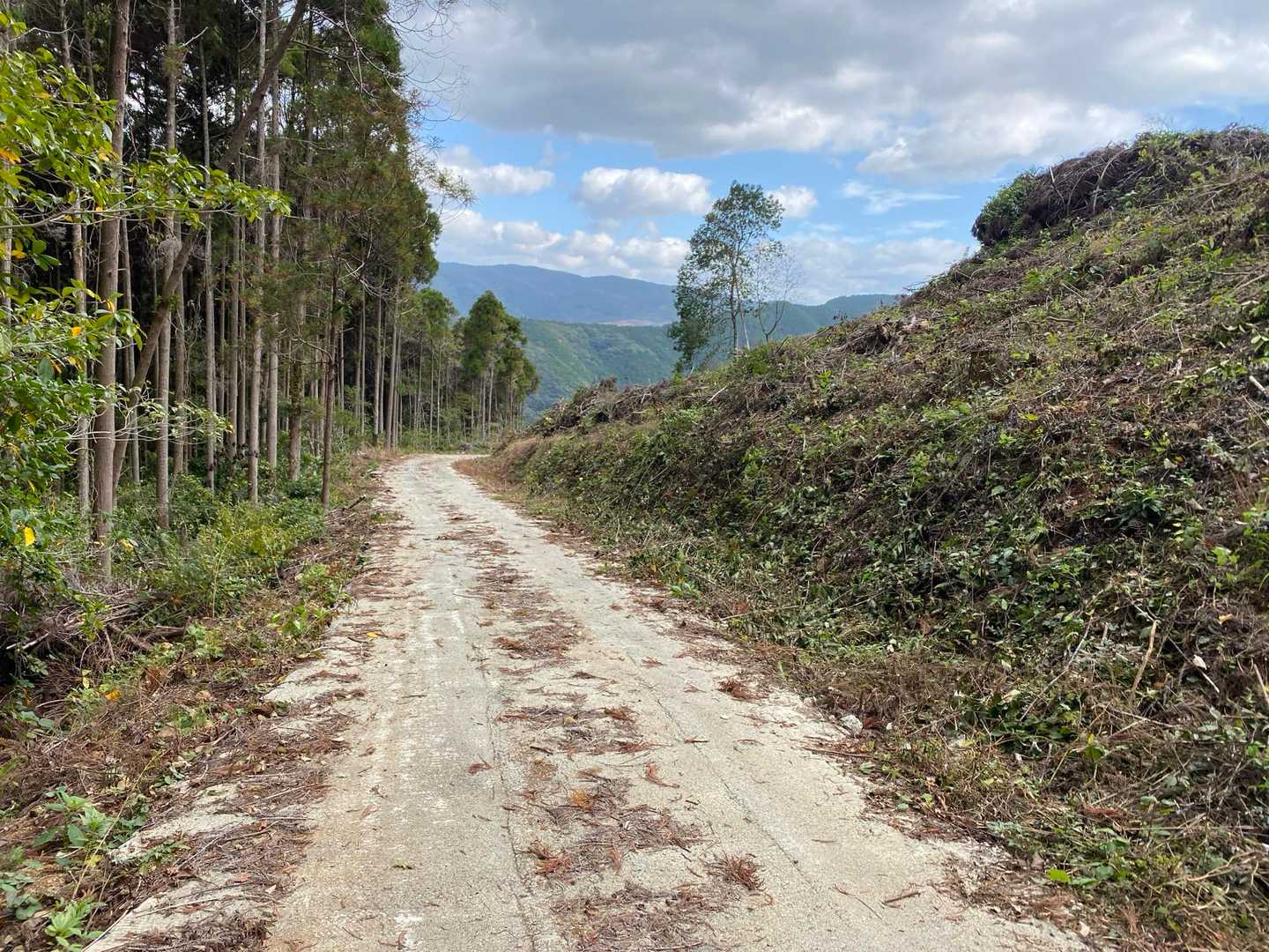 彦嶽宮 下宮-彦岳登山口-彦岳 周回コースの写真