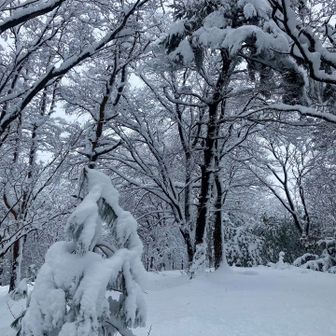 牛首山頂上付近🏔️