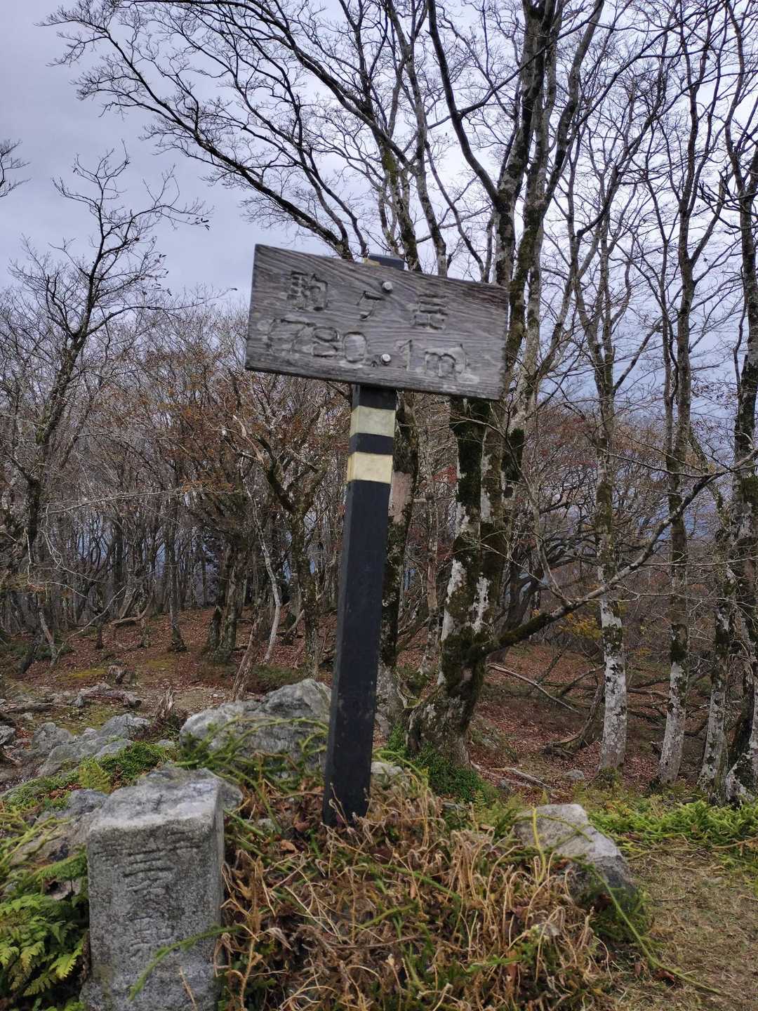 木地山前バス停-若狭駒ヶ岳-与助谷山 周回コースの写真