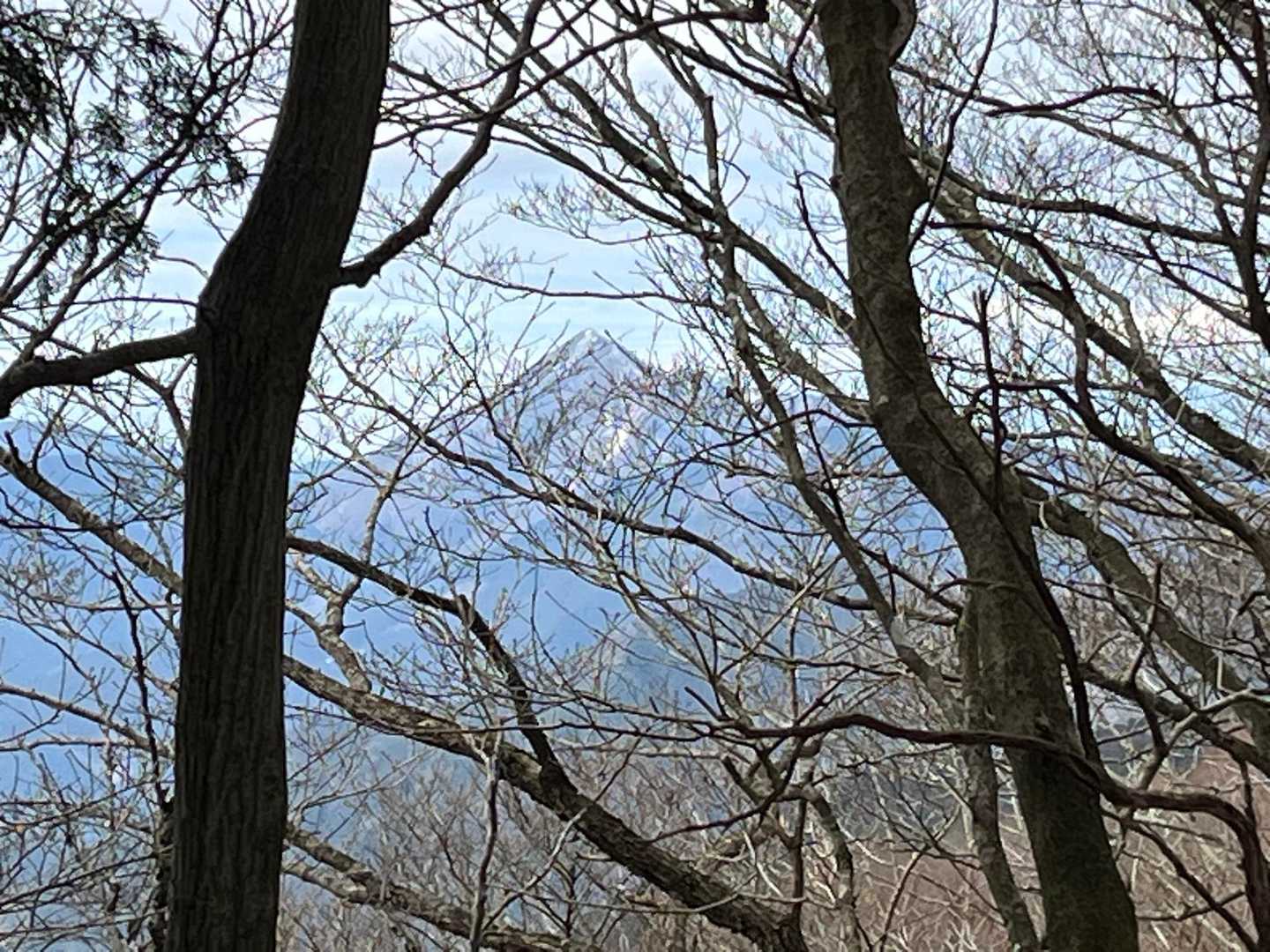 高見山