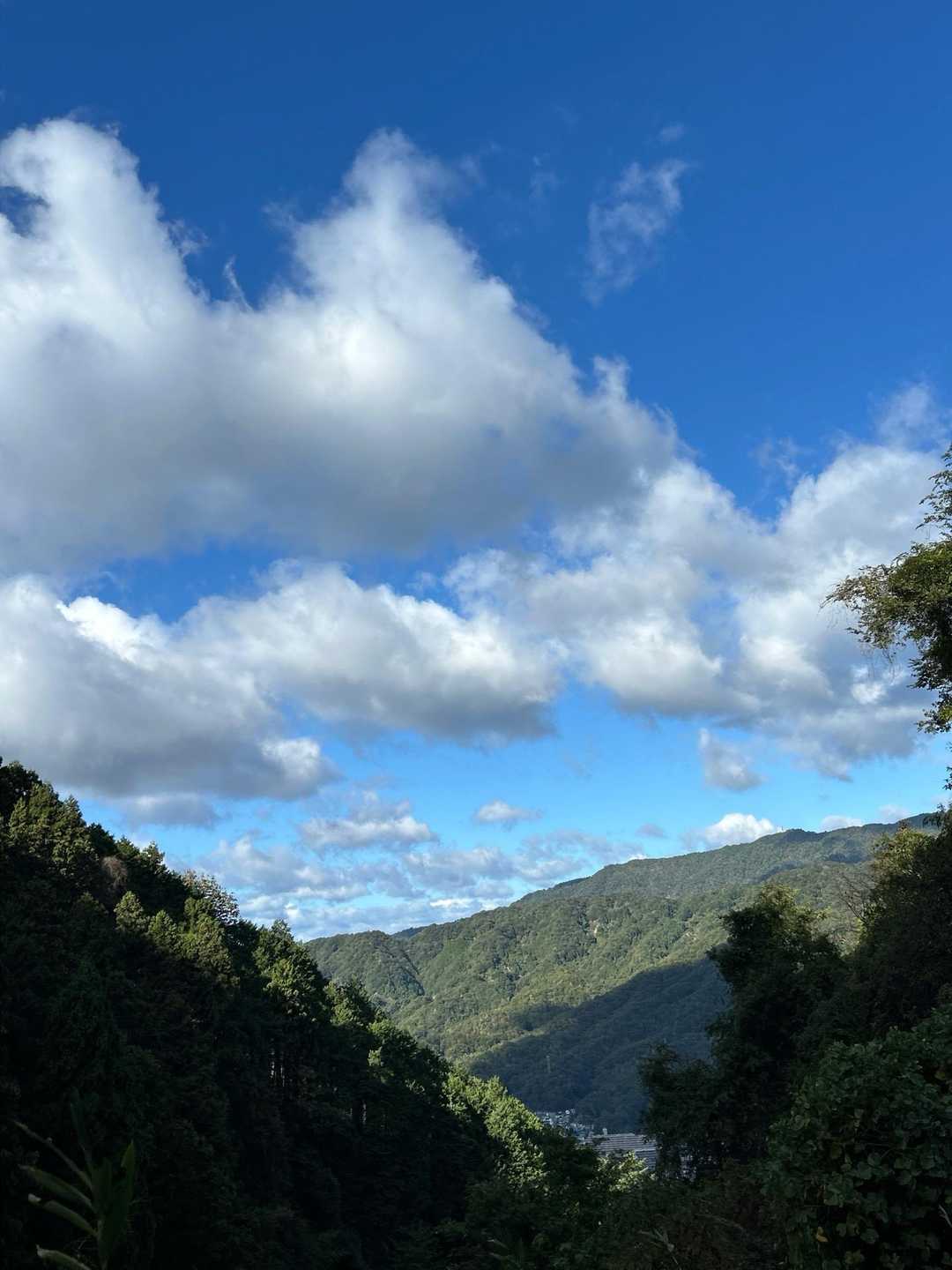 中野東駅-鉾取山-鉾取山登口-原山-天狗防山-成岡登山口- 縦走コースの写真