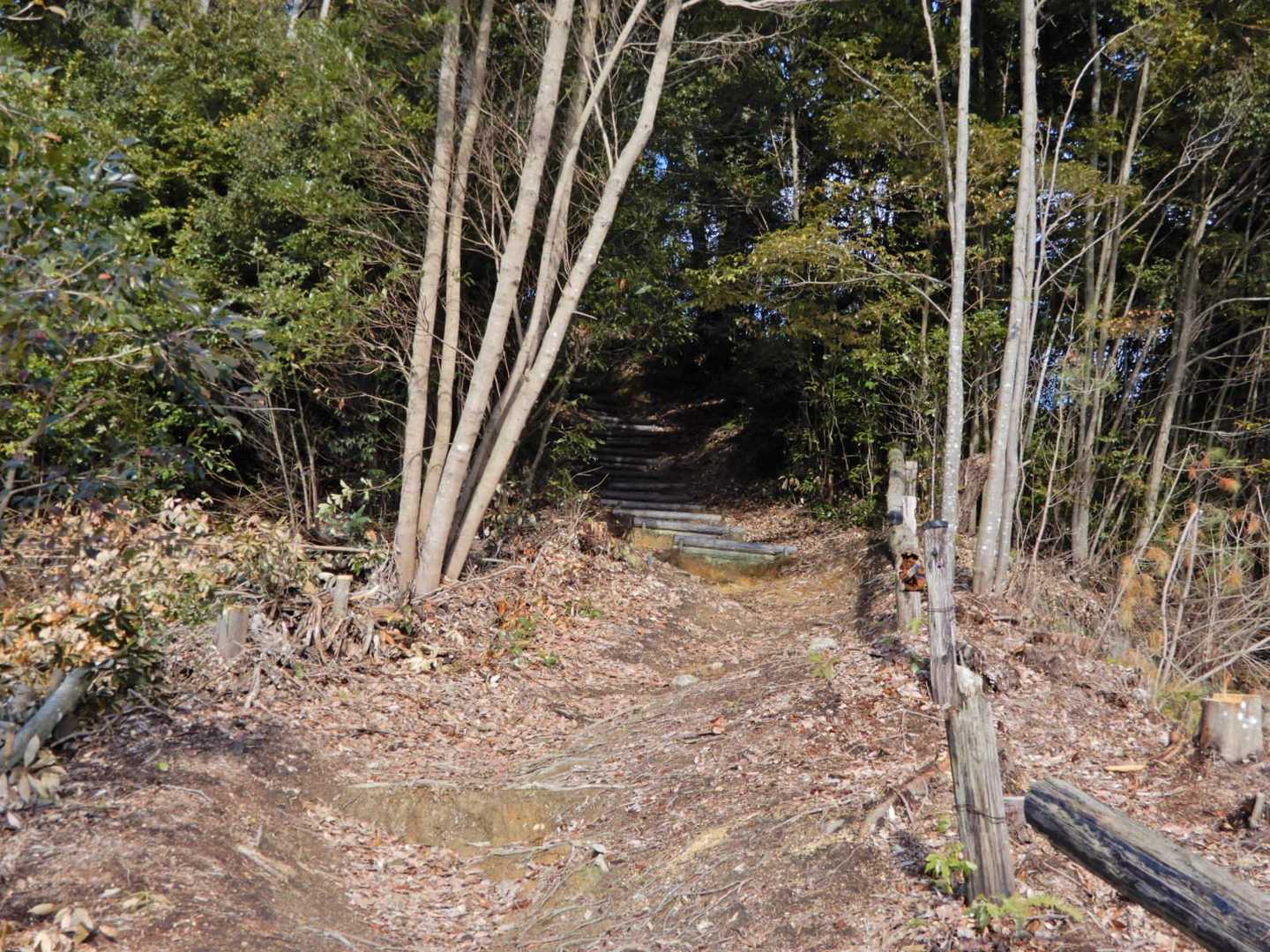 尾根に付けられた擬木階段の巡拝路に取り付く 🚶‍♀️