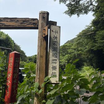 ここは千本桜駐車場🅿️ではなく、欅谷駐車場🅿️だと思うのですが。