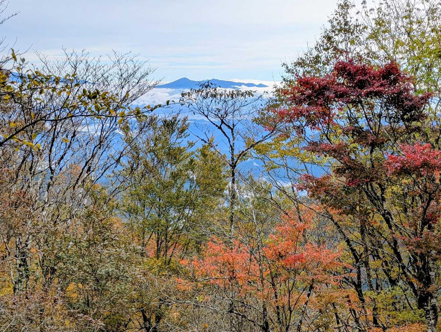 越前岳