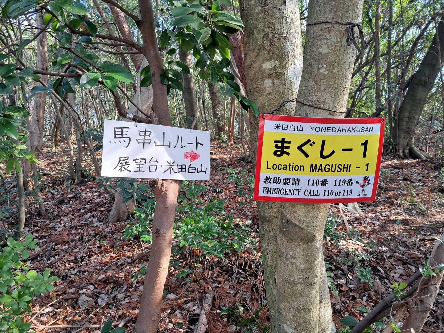 今回のメイン🐎
馬串山へ