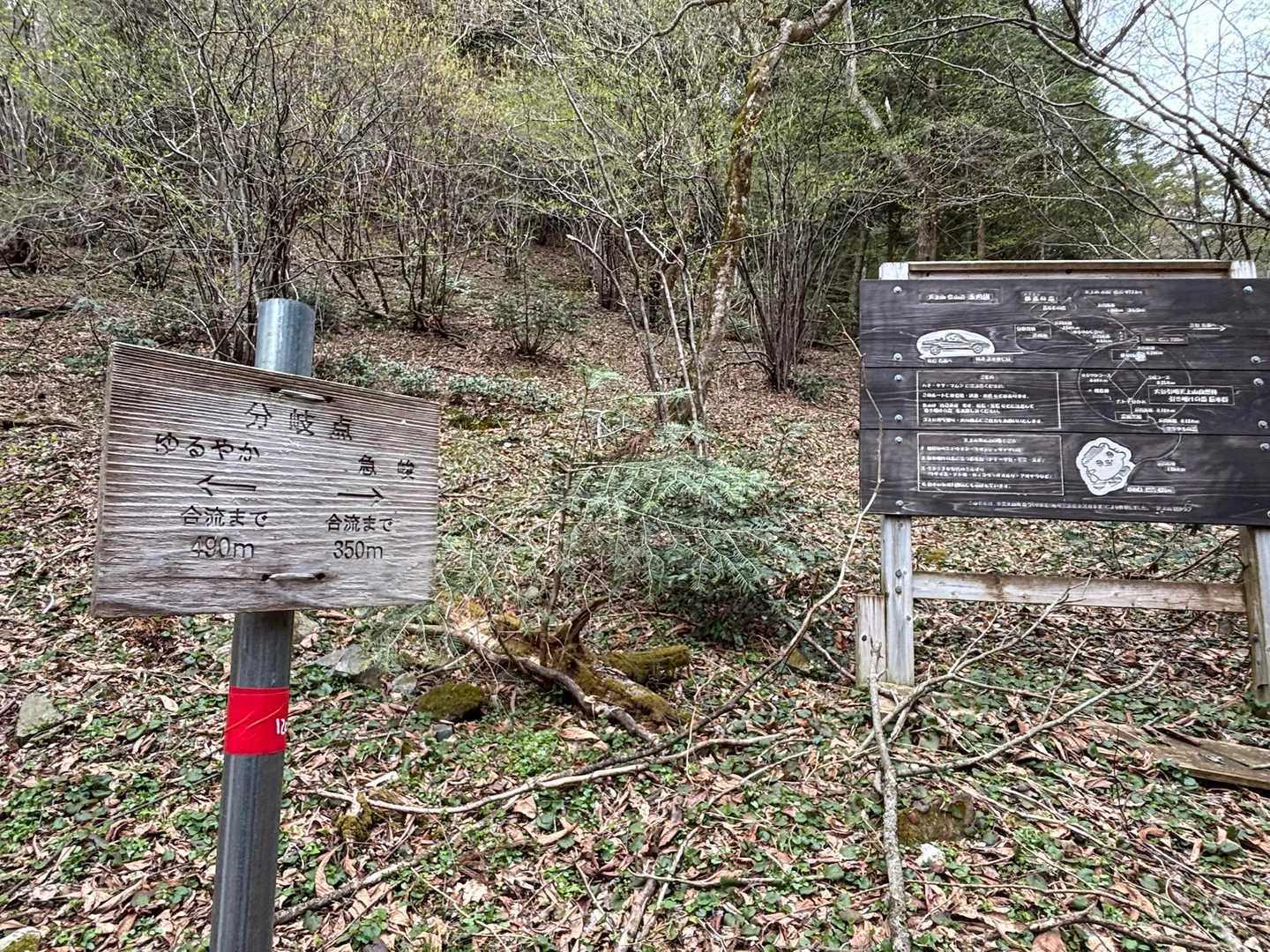 ここで左に行けばゆるやかコースでした😓
見落として右に進んだのでキツかった⛰️