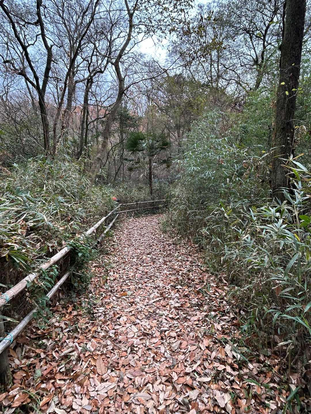 おんか山 周回コースの写真