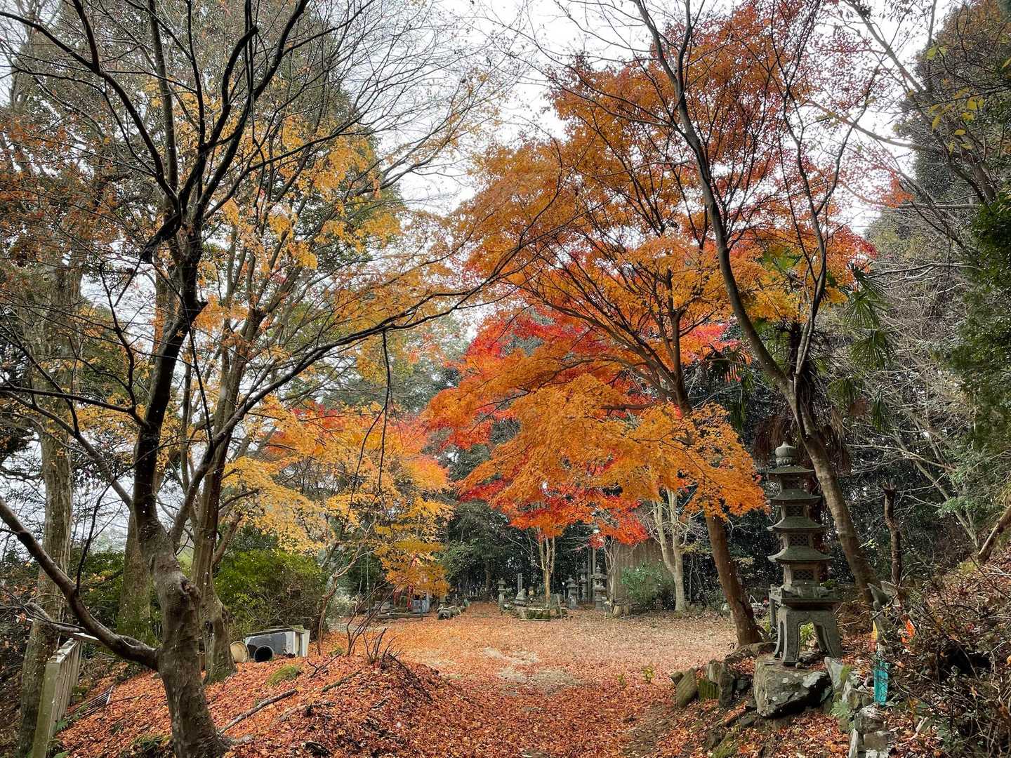 振り返り紅葉も見納め。本日も無事下山。
明星ヶ岳はリピート有りの山でした。
有難うございました🤗