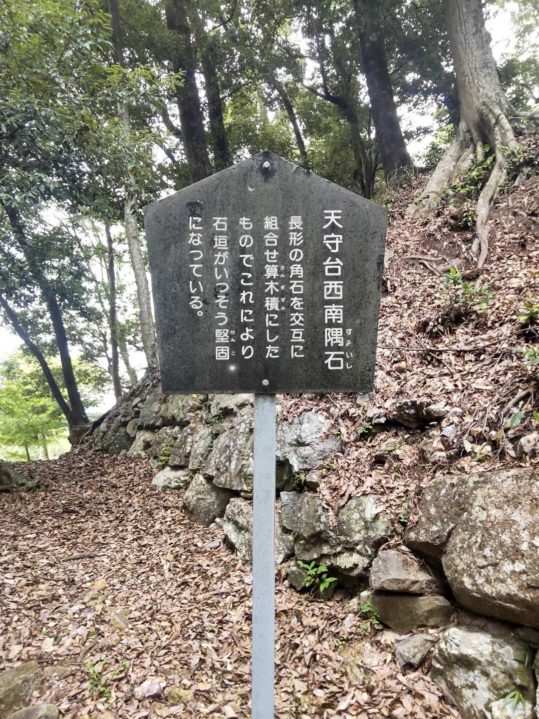 古城山登山口-古城山 往復コースの写真