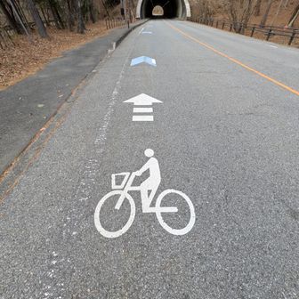 サイクリングもいいね〜🚴