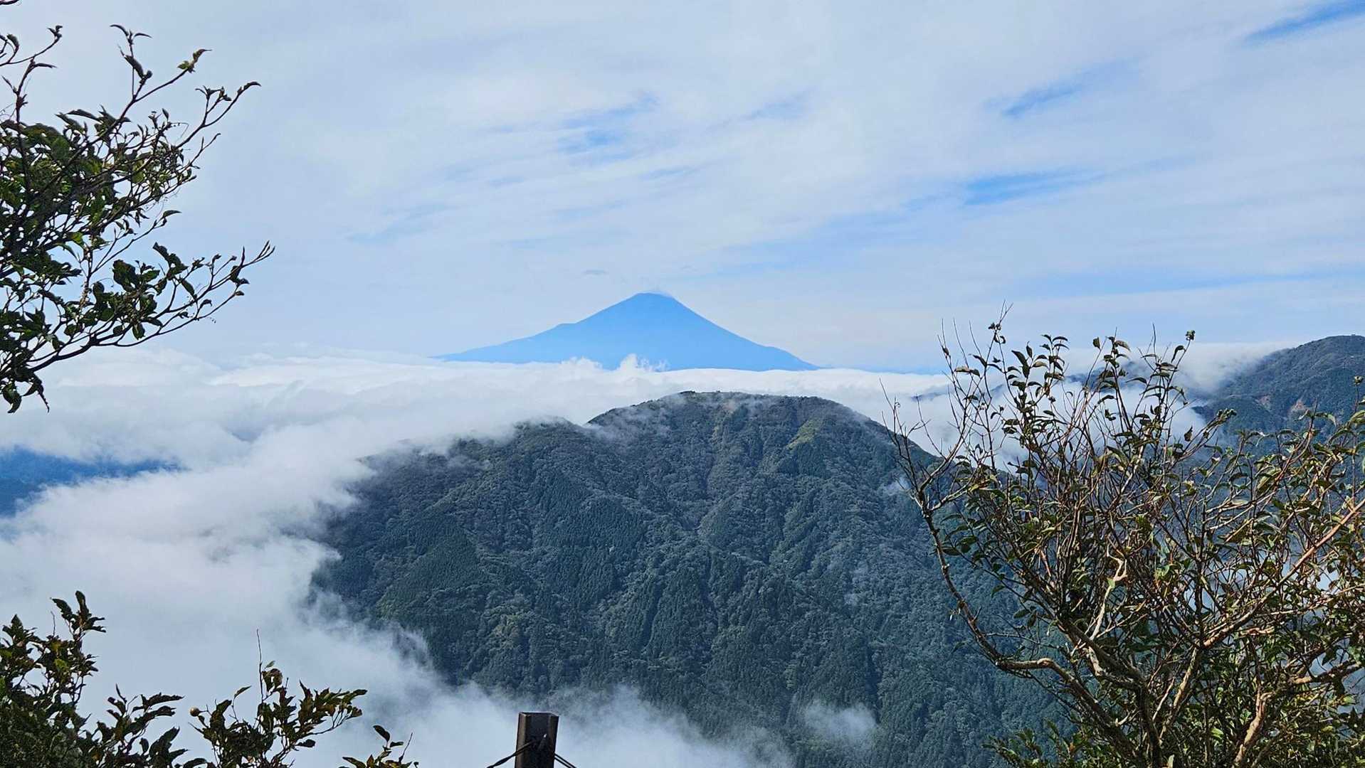 ヤビツ峠-大山-見晴台-日向薬師バス停 縦走コースの写真