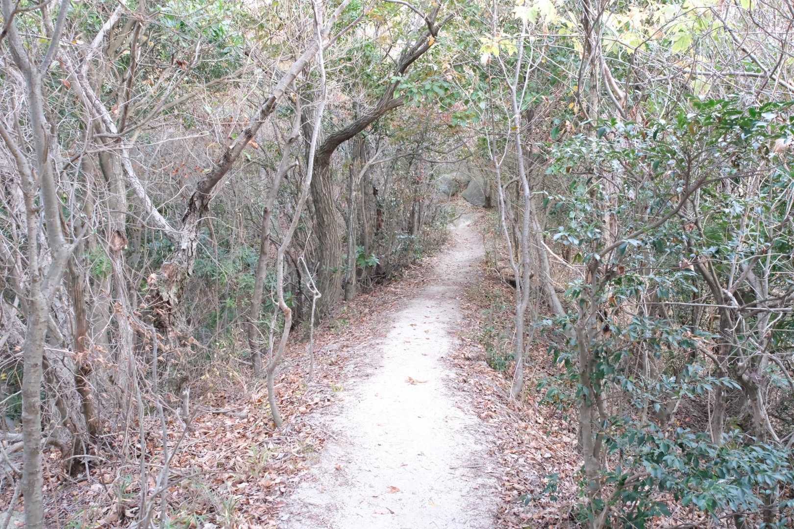 岩巡り登山道入口-正面登山道入口-天神山-忠魂碑登山道入口 周回コースの写真