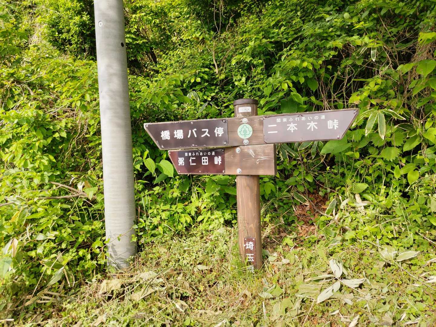 粥仁田峠(ｶﾕﾆﾀ)へしばらく車道歩き👣