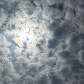 ちょっと雲出てきたかな