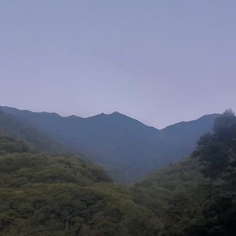 ワクワク✨