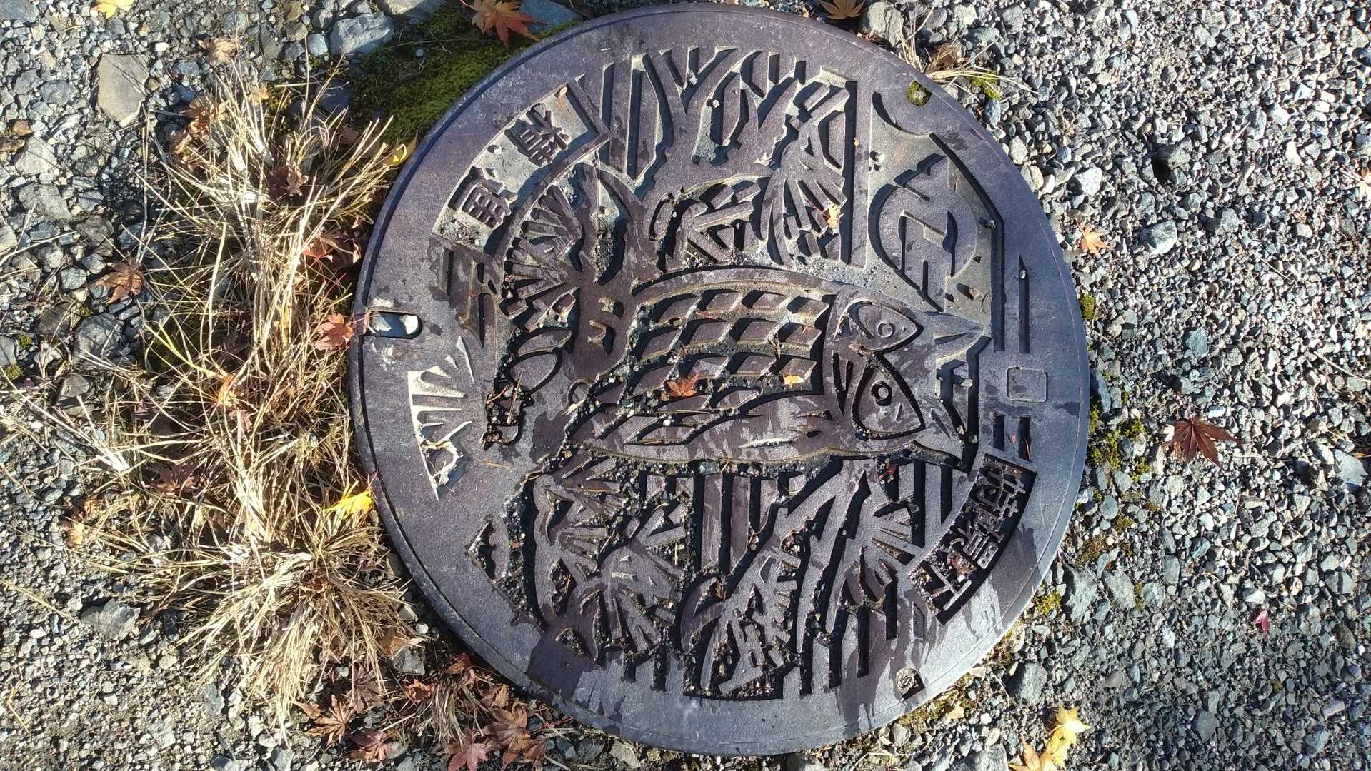 精進バス停-女坂峠-三方分山-精進峠 周回コースの写真
