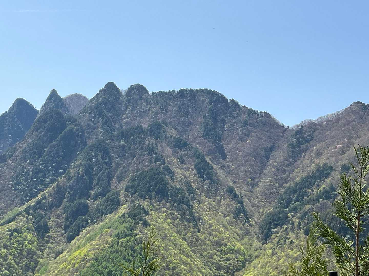 うぇい