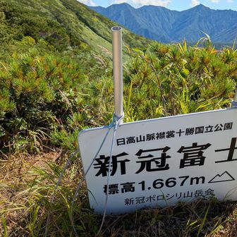 ここまでが遠かった。