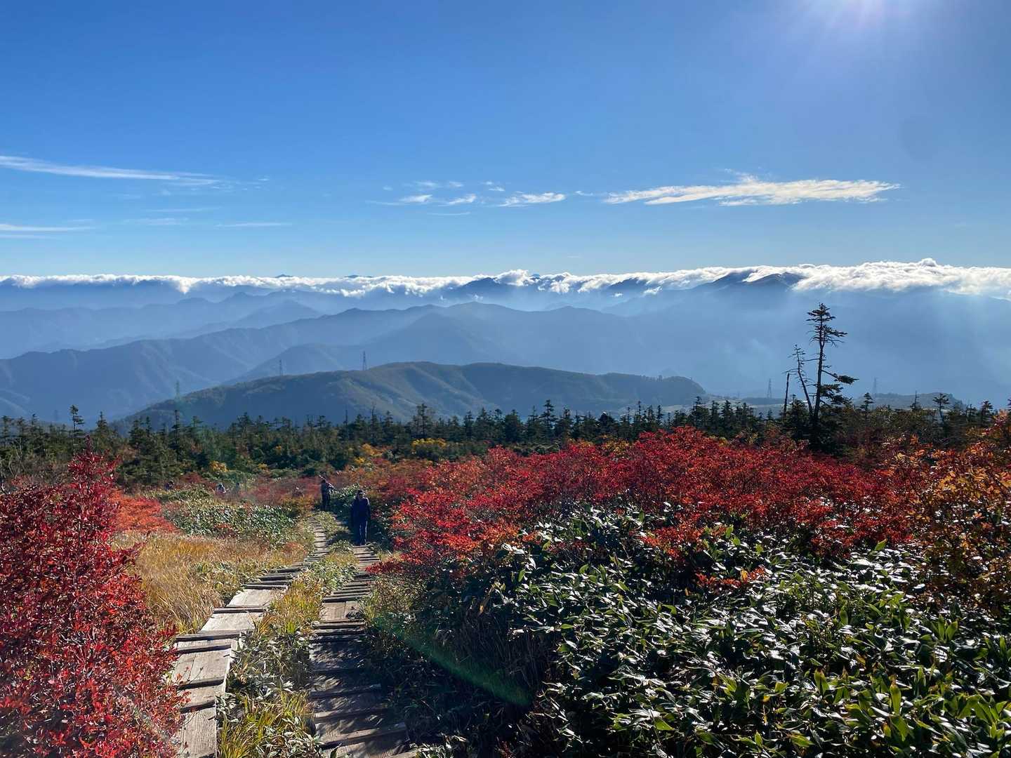 苗場山神社-苗場山-神楽ヶ峰-山頂駅-祓川登山口 縦走コースの写真