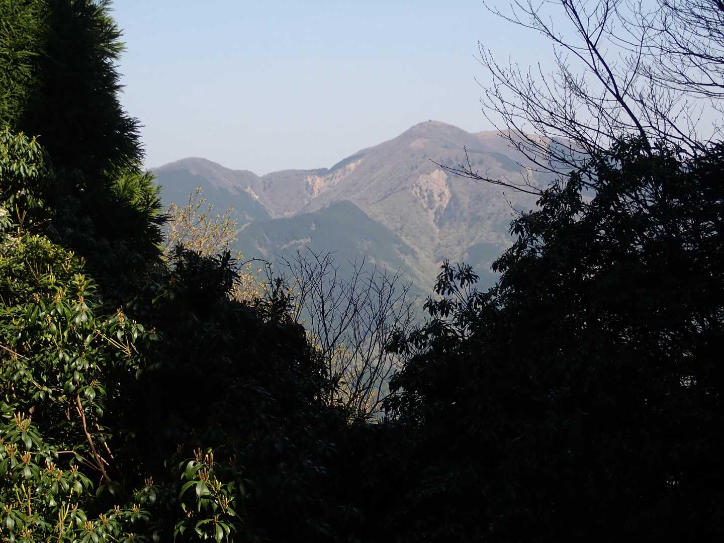 綿向山も見えました。