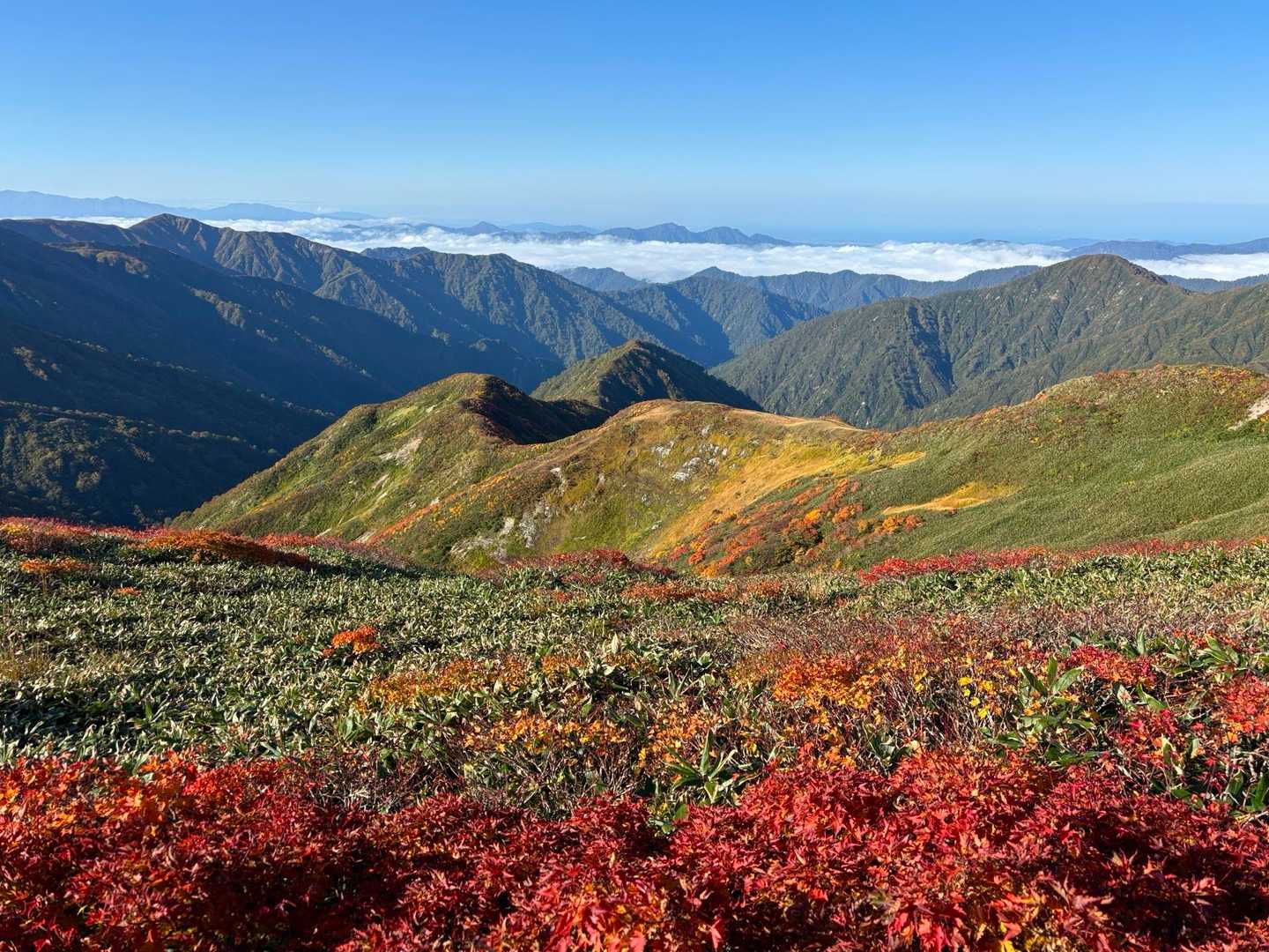 清太岩山-ユーフン山-寒江山-北寒江山 往復コースの写真
