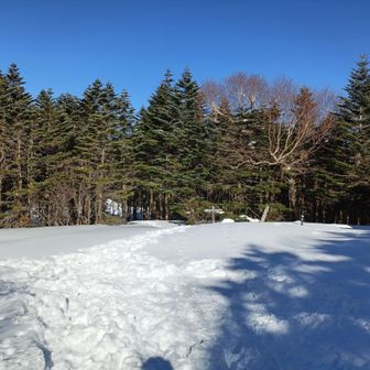 蓼科山荘まで戻ってきた